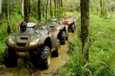 Kauai Kipu Ranch ATV Tour cruise excursion