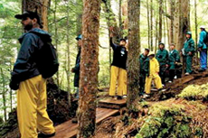 Ketchikan Rainforest Hike cruise excursion