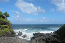 Maui Lahaina Walking Tour cruise excursion