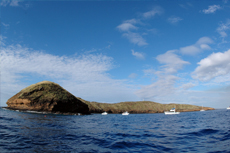 Maui Molokini Crater cruise excursion