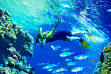 Maui Snorkeling cruise excursion