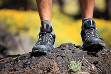 Maui Hiking cruise excursion