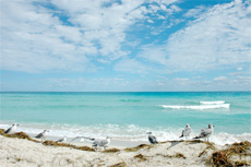 Miami Beach Break cruise excursion