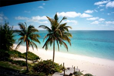 Nassau Island Tour