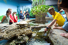 Noumea Noumea Aquarium cruise excursion