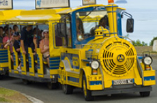 Noumea Discovery Tchou Tchou Train cruise excursion