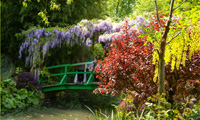 Paris Monet at Giverny Gardens