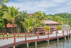 Roatan Island Tour cruise excursion