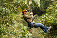 Roatan Zipline Adventure cruise excursion