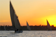 Safaga Felucca Tour cruise excursion