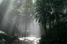 Singapore Botanic Gardens cruise excursion