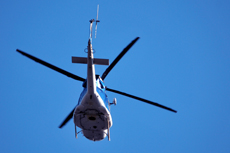 Skagway Helicopter Tour cruise excursion