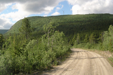 Skagway Scenic Drive cruise excursion