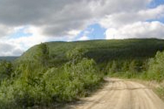 Skagway Yukon Van Tour cruise excursion