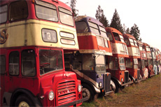 Victoria Double Decker Bus Tour cruise excursion