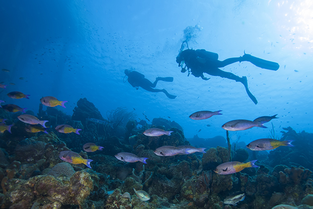 Shore Excursions (Photo: Andrew Jalbert/Shutterstock) Shore Excursions