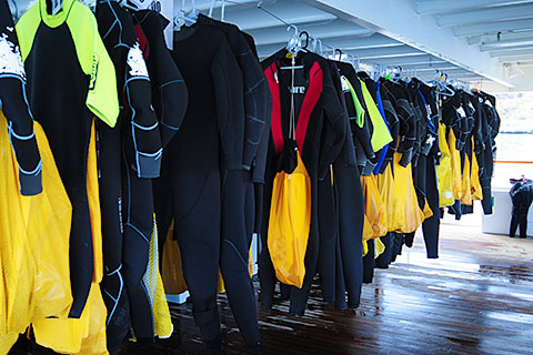 The Gear (Photo: Sue Bryant, Cruise Critic contributor) The Gear