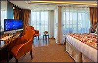 Outside Stateroom with French Balcony and Outside Balcony Outside Stateroom with French Balcony and Outside Balcony