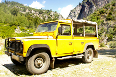 Aruba Jeep Tour cruise excursion