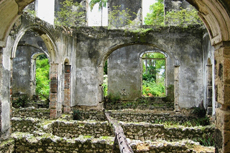 Barbados Island Tour cruise excursion