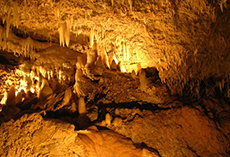 Barbados Harrison's Cave cruise excursion