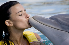 Cozumel Dolphin Swim & Encounter cruise excursion