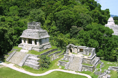 Cozumel Mayan Ruins cruise excursion