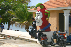 Cozumel Sightseeing cruise excursion