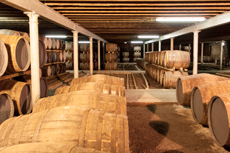 Curacao Distillery Tour cruise excursion