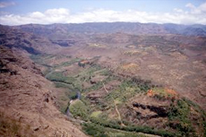 Kauai Waimea Canyon cruise excursion