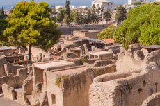 Naples Herculaneum cruise excursion