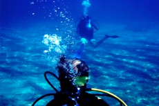 Nassau Scuba Diving cruise excursion