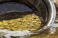 Skagway Gold Panning cruise excursion