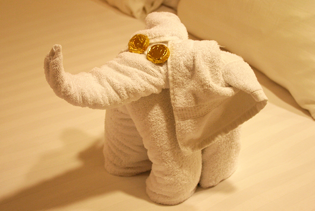 msc cruise towel animals